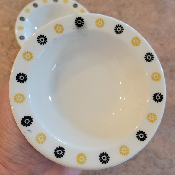 Homer Laughlin Fruit Salsa Dessert Dishes (2) ~ 1960s ~ MCM ~ Retro ~ Floral - Picture 4 of 16